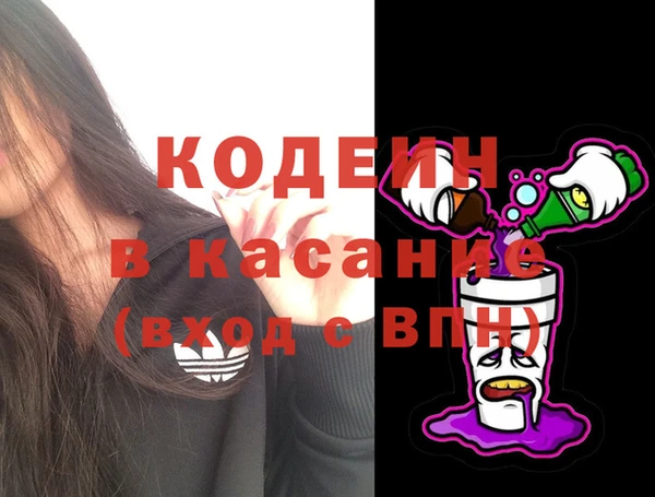ECSTASY Алзамай