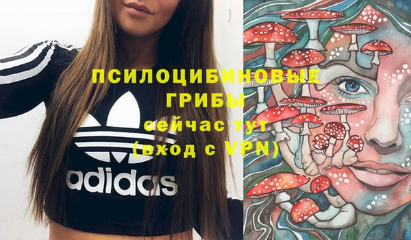 индика Алексин