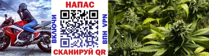Шишки марихуана White Widow  Пущино 